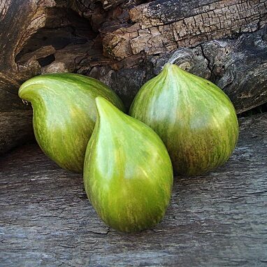 Alises sirds (Алискино сердце)