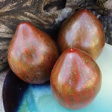 Ukrainas sirds "Azov"