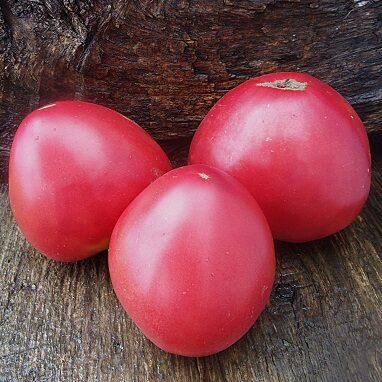 Baba Raja (Баба Рая)