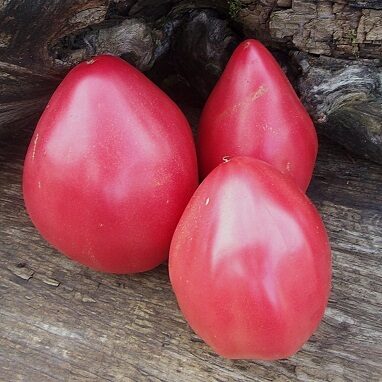 Бычье сердце бабы Маши