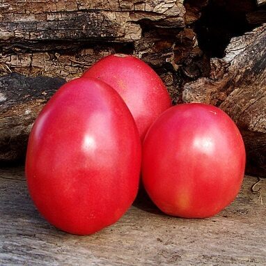 Pink tomatoes