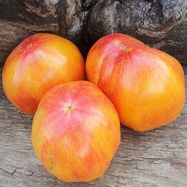 Ziedu sīrups(Flower Syrup)