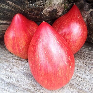 Siržu koks (Tree of Hearts)