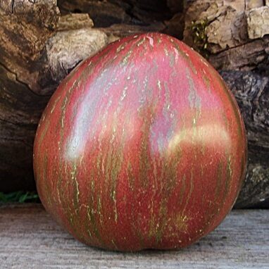 Lilac Heart Eclipses 