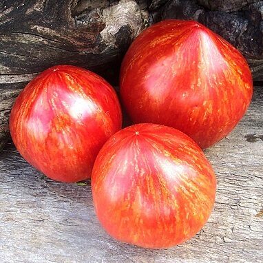 Ukraine's Braveheart