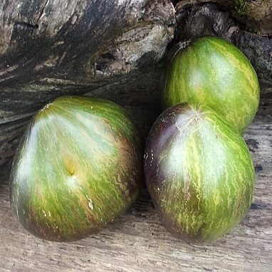 Изумрудная комета Софии