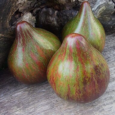 Smaragda lietus (Изумрудный дождь)