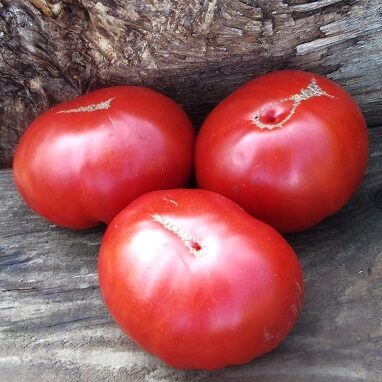 Красные крупные от бабы Веры