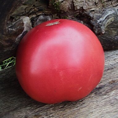 Medus sirsniņas (Медовые сердечки)