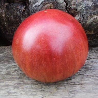 Muāras saulriets (Муаровый закат)