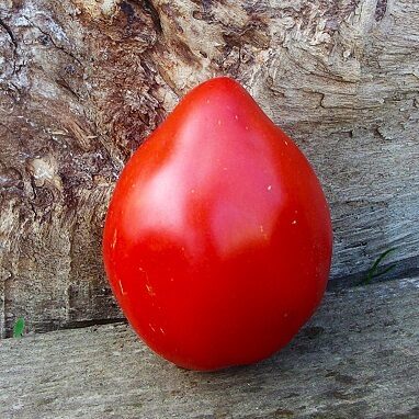 Минусинские от Веры