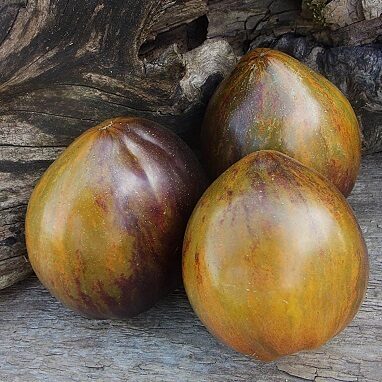 Okera plīvurs (Охровая вуаль )