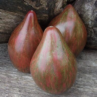 Шоколадный восторг