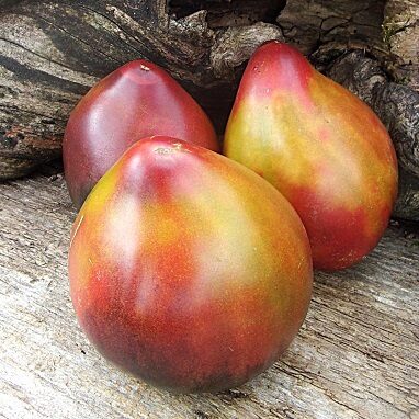 Valdzinoša sirds (Пленительное сердце)