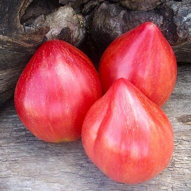 Svītrainā zemene (Полосатая клубника)