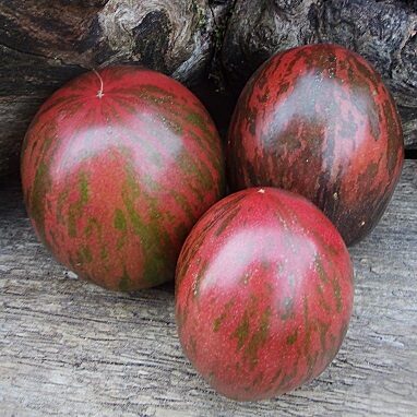 Skaistais marsietis (Прекрасный марсианин)