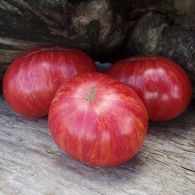 Starojošais sarkanais (Променистий Червоний) 