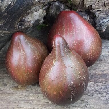 Viktorijas salūts (Салют Виктории)