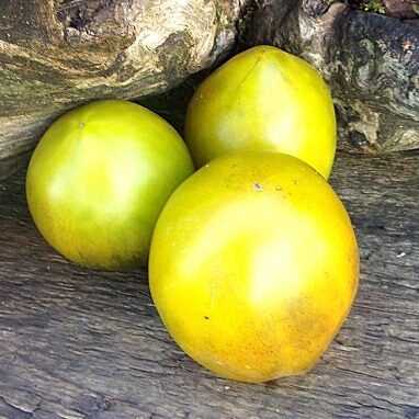 Сладкая тропическая груша