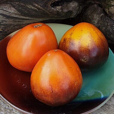 Ukraine's Heart (Серце України)