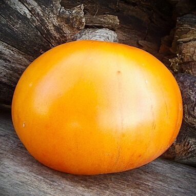 Sizraņas oranžais
