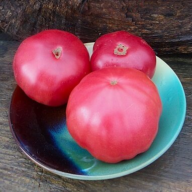 Старая бабушкина малиновка (Stara Babcina Malinówka)
