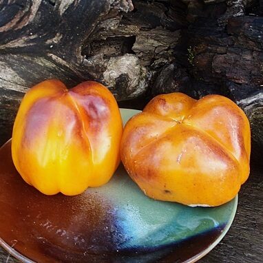 Tepero (Теперо)