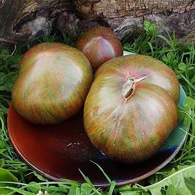 Sofijas triumfs (Триумф Софии)