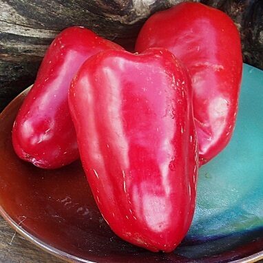 Tatarin (Татарин)