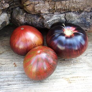 Виват Виктория