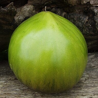 Sofijas zaļa sirds (Зелёное сердце Софии)