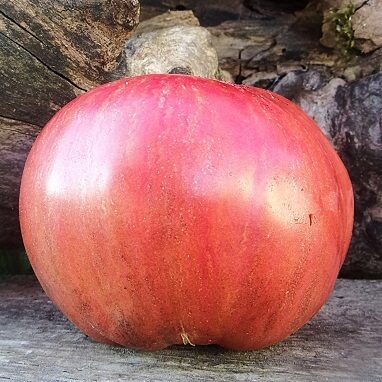 Zemeņu šerbets (Клубничный щербет)