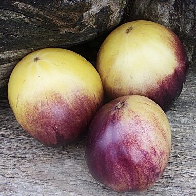 Zelta turbans (Золотая чалма)