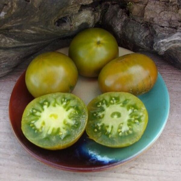 Зелёные сорта томатов