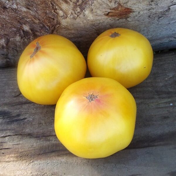 Moonshener's Ball (Лунный шар)