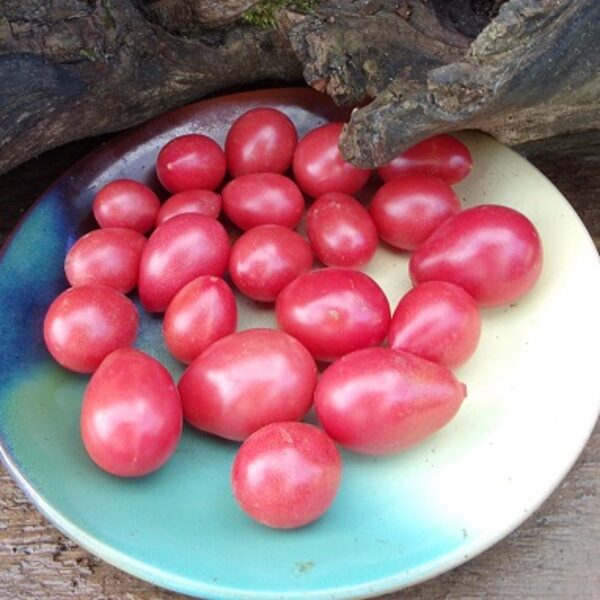 Сербская медовина арбуз