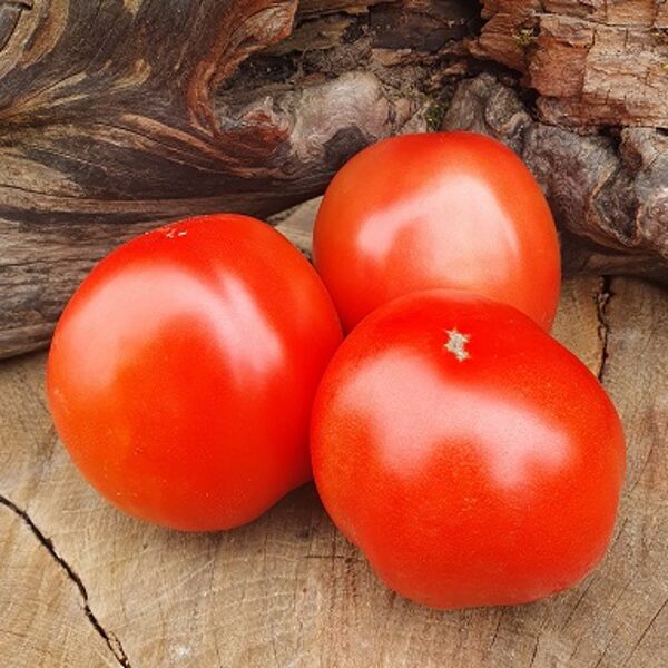 Красные томаты